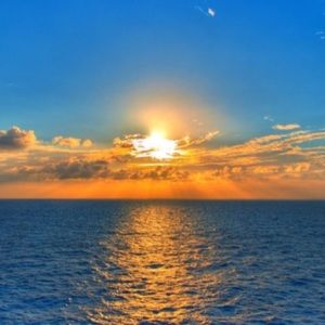 Meet your Posher, Ava